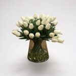 ڤازة التوليب