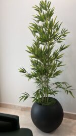 ⁦شجرة البامبو ١٨٠ سم⁩ - الصورة ⁦3⁩