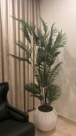 شجرة الأريكا 200cm