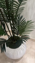 ⁦شجرة الأريكا 200cm⁩ - الصورة ⁦3⁩
